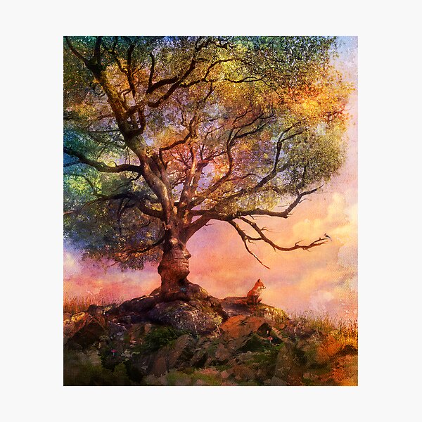 Sunset at Fox Mountain Photographic Print