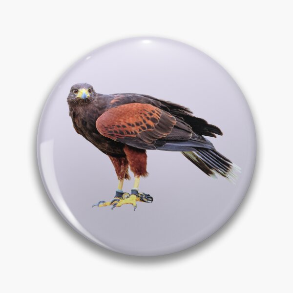 Item preview, Harris Hawk designed and sold by RainbowSpinkle.