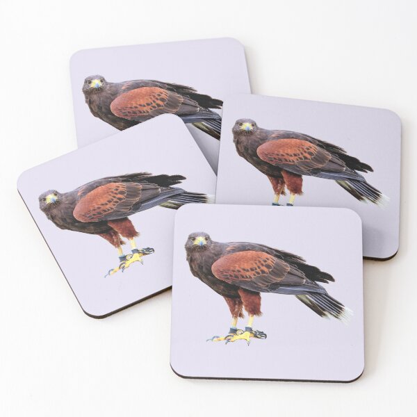 Item preview, Harris Hawk designed and sold by RainbowSpinkle.