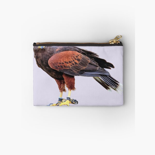 Item preview, Harris Hawk designed and sold by RainbowSpinkle.