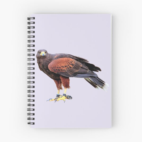 Item preview, Harris Hawk designed and sold by RainbowSpinkle.