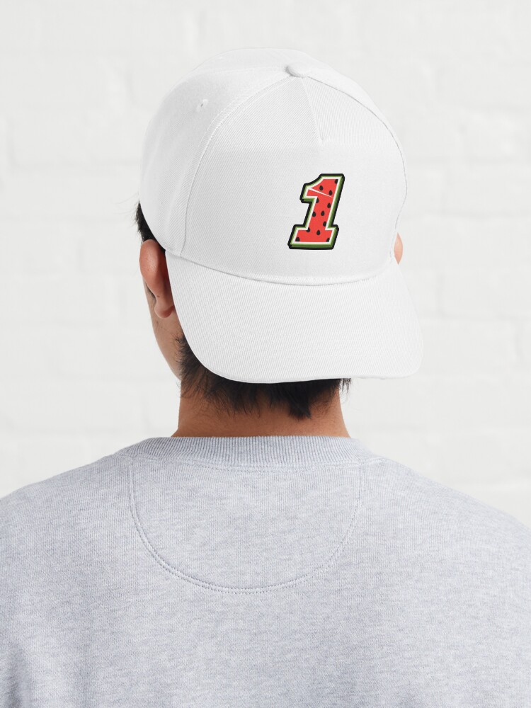 Ross Chastain Busch Light #1 Flat Bill Snapback – Melon Man Brand