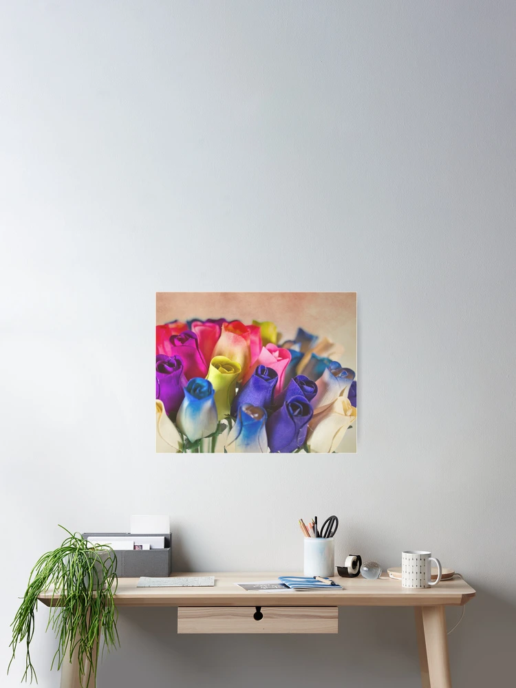 Thumbnail 2 of 3, Poster, Spring Roses designed and sold by GalleryThree.