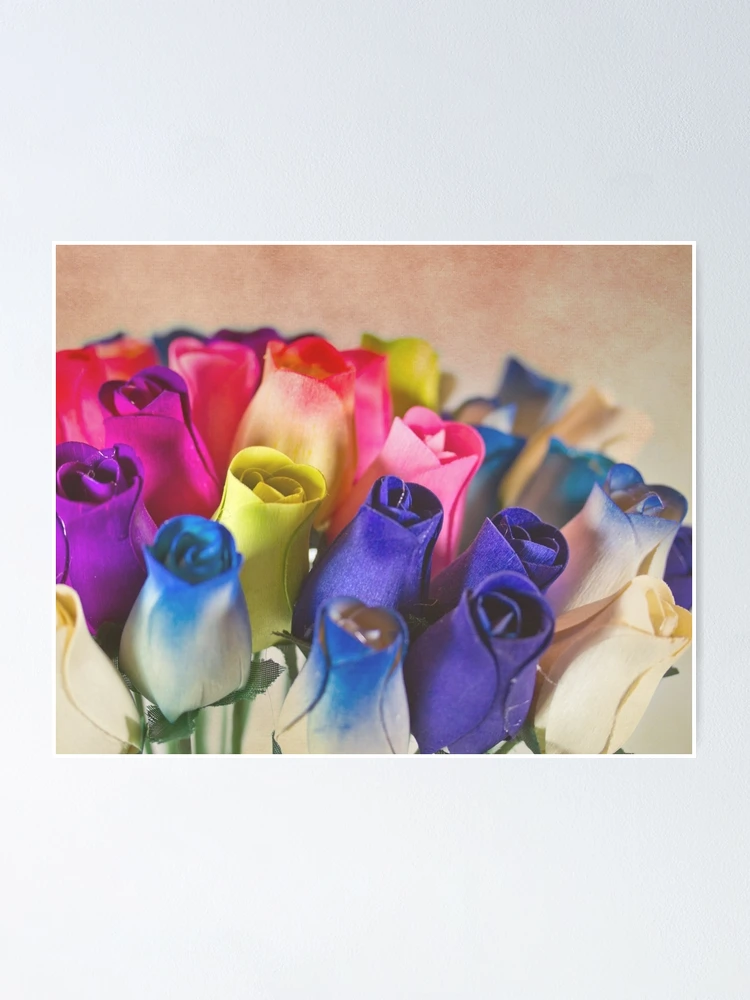 Thumbnail 1 of 3, Poster, Spring Roses designed and sold by GalleryThree.