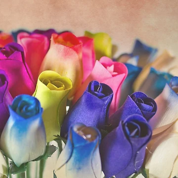 Artwork thumbnail, Spring Roses by GalleryThree