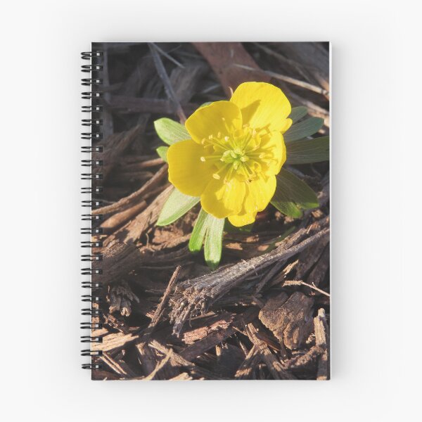 Item preview, Winter Aconite Flower designed and sold by Kathleen Brant.