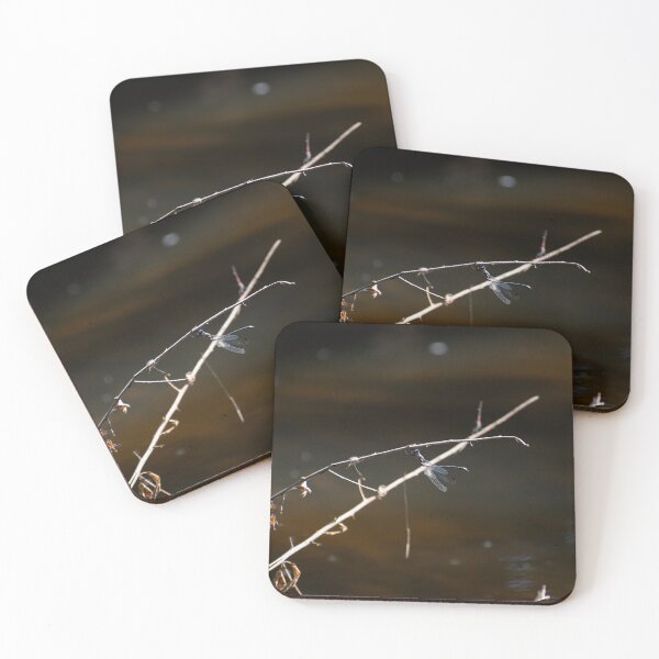 Item preview, Dragonfly Stretching designed and sold by Elliot L..