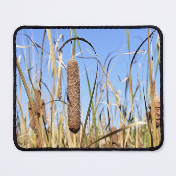 Item preview, Autumn Cattails designed and sold by Kathleen Brant.