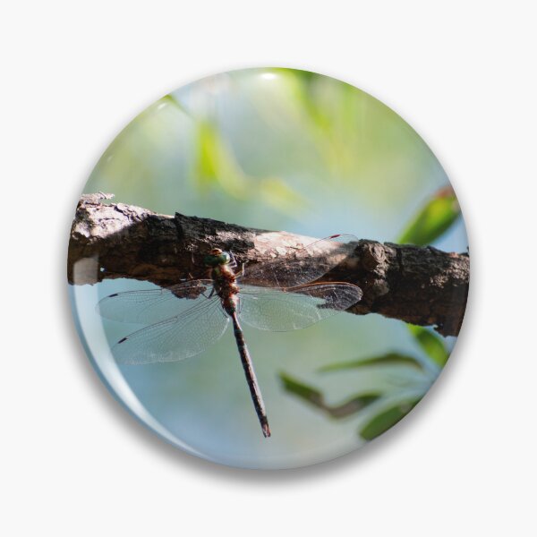 Item preview, Dragon fly on a branch designed and sold by Elliot L..