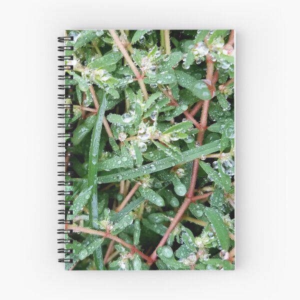 Item preview, Dew Covered Greenery designed and sold by bjtomiko.