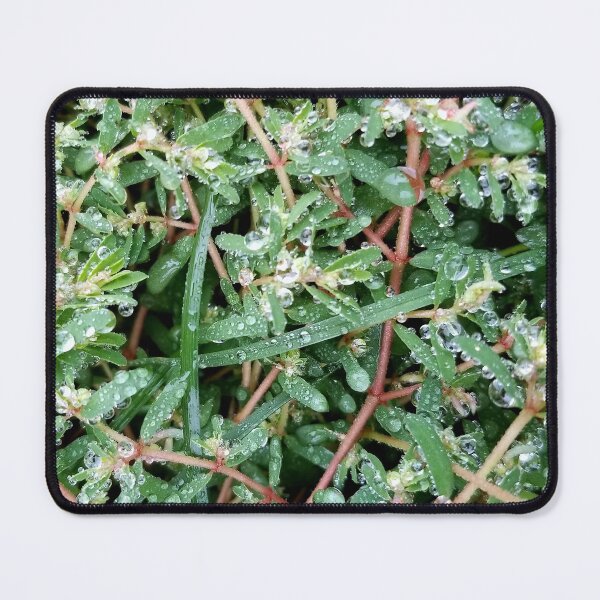 Item preview, Dew Covered Greenery designed and sold by bjtomiko.