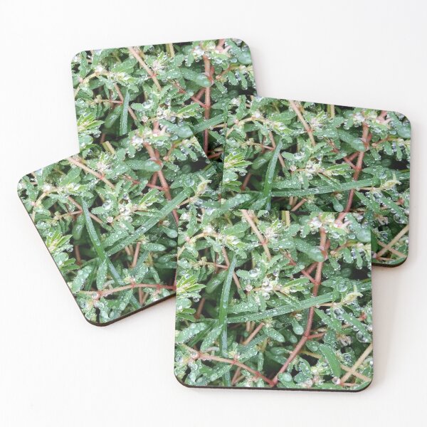 Item preview, Dew Covered Greenery designed and sold by bjtomiko.