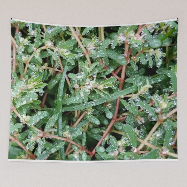 Item preview, Dew Covered Greenery designed and sold by bjtomiko.
