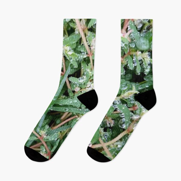 Item preview, Dew Covered Greenery designed and sold by bjtomiko.