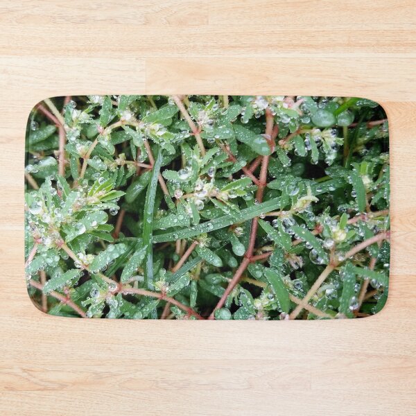 Item preview, Dew Covered Greenery designed and sold by bjtomiko.