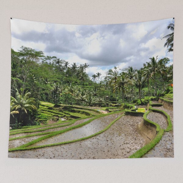 Item preview, Indonesia - Bali, Gunung Kawi designed and sold by franck380.