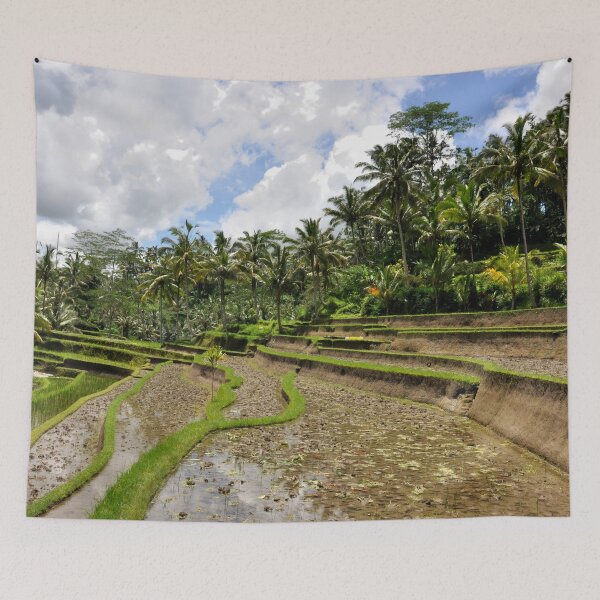 Item preview, Indonesia - Bali, Gunung Kawi designed and sold by franck380.