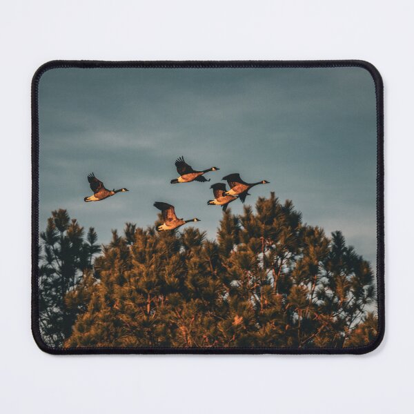 Item preview, Golden Geese designed and sold by akiobsession.