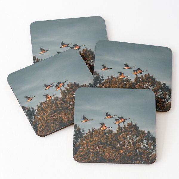 Item preview, Golden Geese designed and sold by akiobsession.