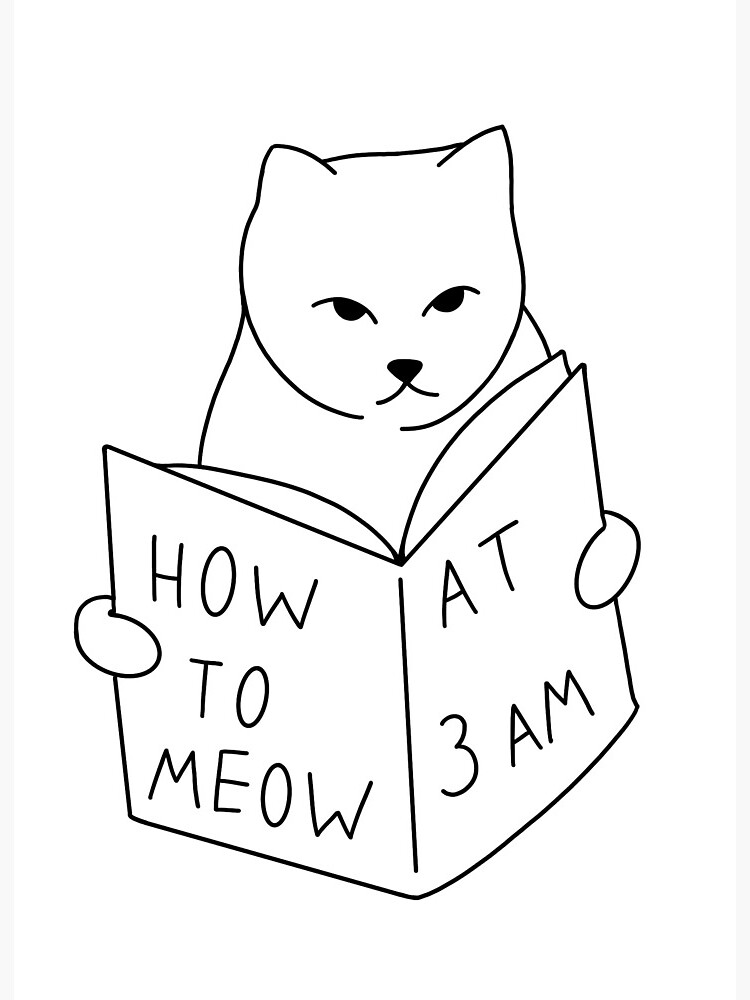 How To Meow At 3Am