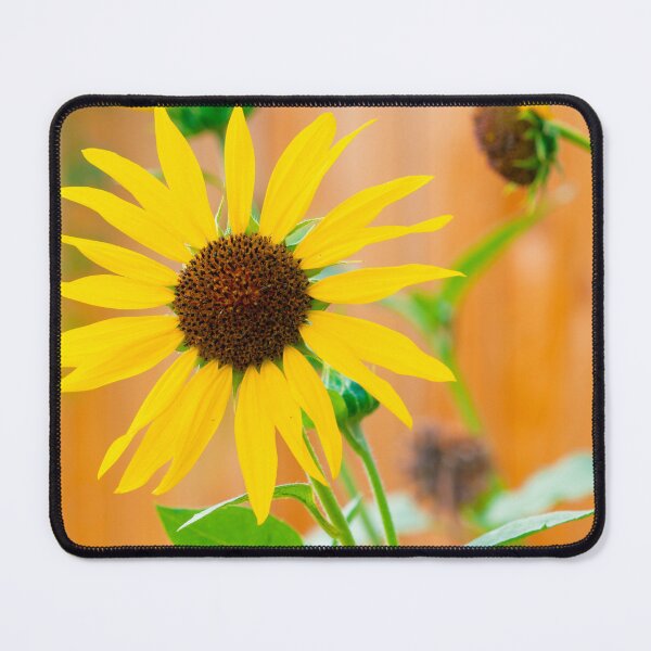 Item preview, Sunflower Greetings designed and sold by Elliot L..