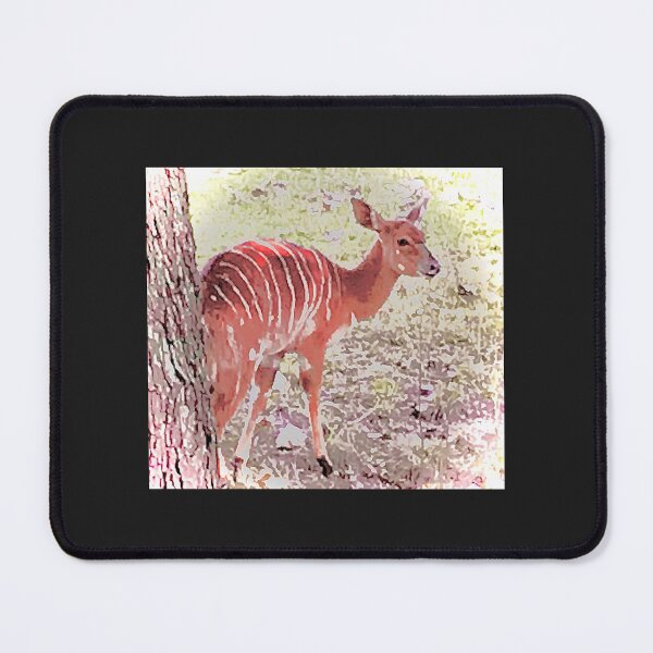 Item preview, Bongo at the Zoo designed and sold by ETA PERI.
