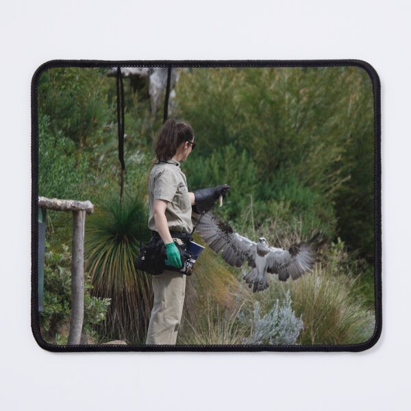 Item preview, Osprey Landing designed and sold by Kevin Bergin.