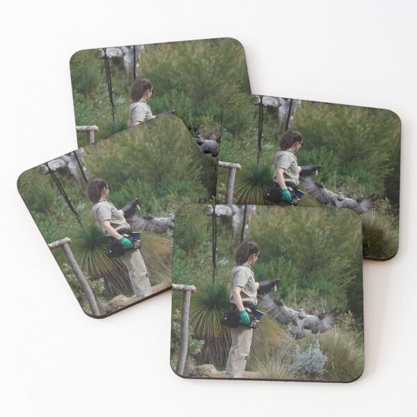 Item preview, Osprey Landing designed and sold by Kevin Bergin.