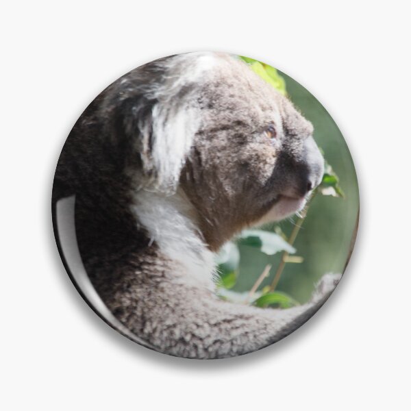 Artikelvorschau, Koala macht Pause! entworfen und verkauft von Kevin Bergin.