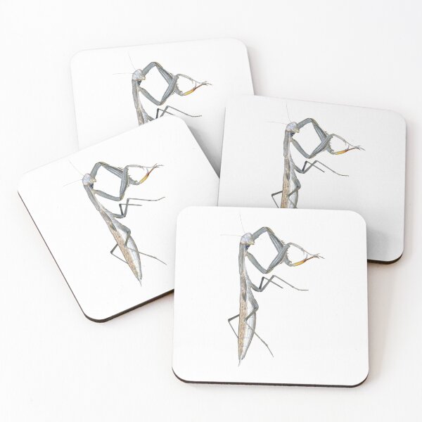 Item preview, Praying Mantis Initial P | Letter P Bug or Insect Letter for bug lover | Mantis | Mantid designed and sold by EveryDayDabble.