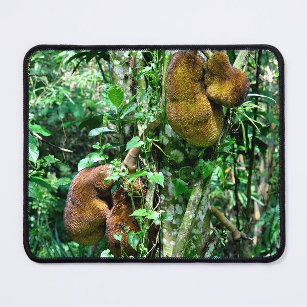 Item preview, Indonesia - Bali, Munduk designed and sold by franck380.
