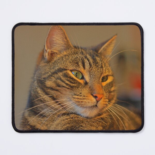 Item preview, Brown Tabby Cat designed and sold by Submariner °.