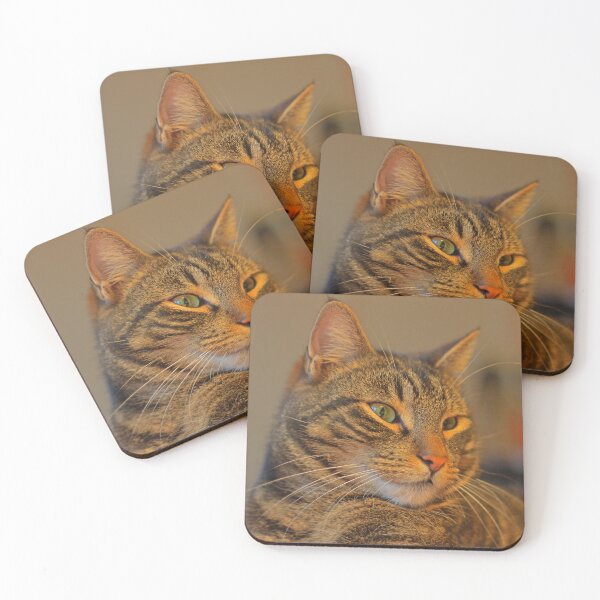 Item preview, Brown Tabby Cat designed and sold by Submariner  °.