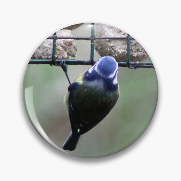 Item preview, blue tit designed and sold by KathleenDawson.