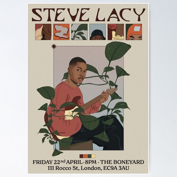 Steve Lacy Gemini Rights Poster Printed on the Retro Vinyl Record Unique  Home Decor Wonderful Gift for Your Friend Art Design -  Australia