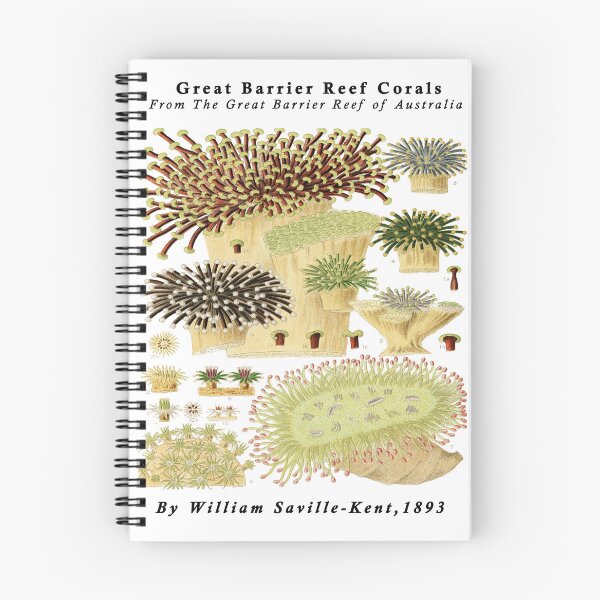Item preview, Great Barrier Reef Corals from The Great Barrier Reef of Australia  by William Saville Kent ,the great barrier reef of Australia, designed and sold by Tamas Das.