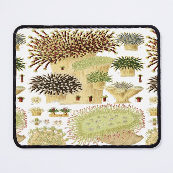 Item preview, Great Barrier Reef Corals from The Great Barrier Reef of Australia by William Saville Kent ,the great barrier reef of Australia, designed and sold by Tamas Das.