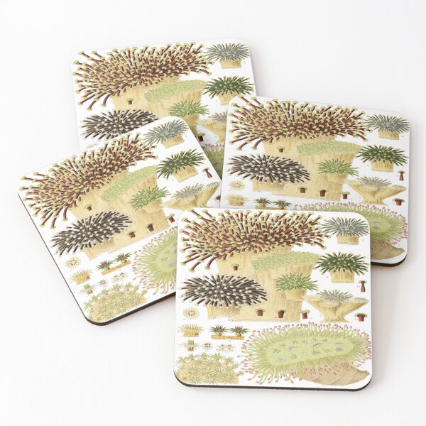 Item preview, Great Barrier Reef Corals from The Great Barrier Reef of Australia  by William Saville Kent ,the great barrier reef of Australia, designed and sold by Tamas Das.