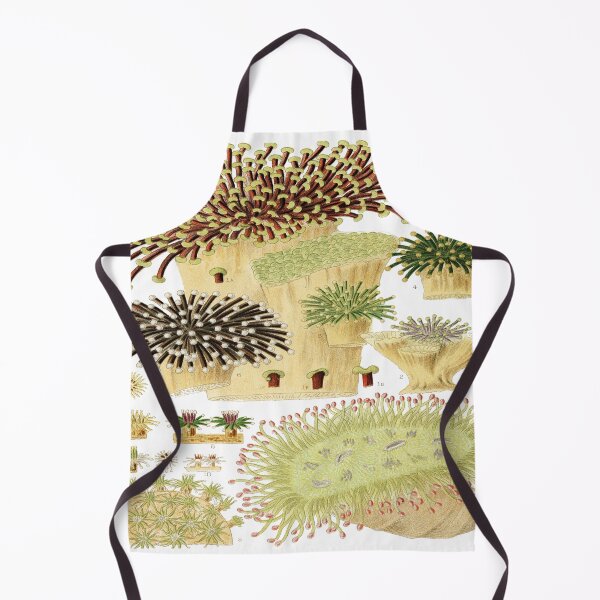 Item preview, Great Barrier Reef Corals from The Great Barrier Reef of Australia  by William Saville Kent ,the great barrier reef of Australia, designed and sold by Tamas Das.