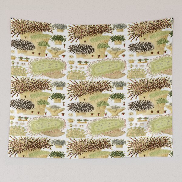 Item preview, Great Barrier Reef Corals from The Great Barrier Reef of Australia  by William Saville Kent ,the great barrier reef of Australia, designed and sold by Tamas Das.