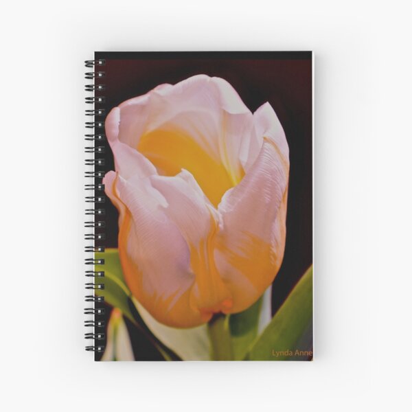 White And Yellow Tulip 2 Spiral Notebook