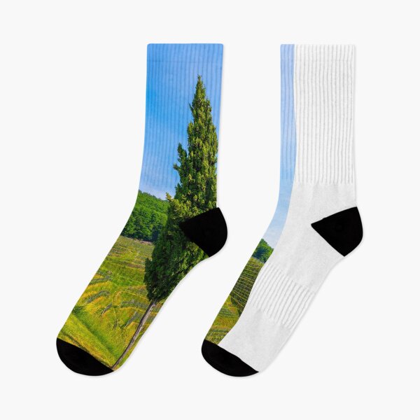 Item preview, Vineyard with Mountain View and Cypress Tree designed and sold by Mats Silvan.