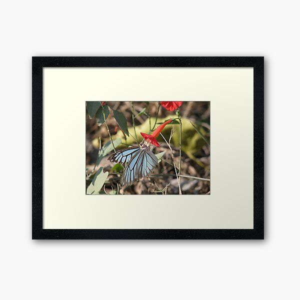Carrying Baggage Framed Art Print