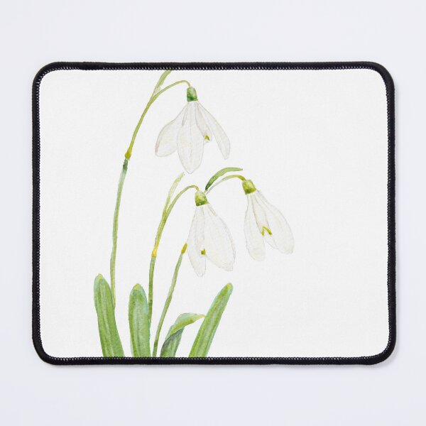 Item preview, 3 snowdrop flowers watercolor hand painted  designed and sold by SelenePaintings .