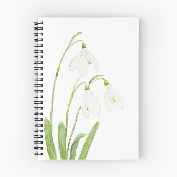 Item preview, 3 snowdrop flowers watercolor hand painted  designed and sold by SelenePaintings .