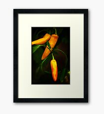 Peppers Framed Print