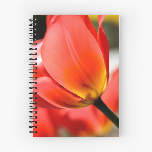 Item preview, Tulips designed and sold by cuprum.