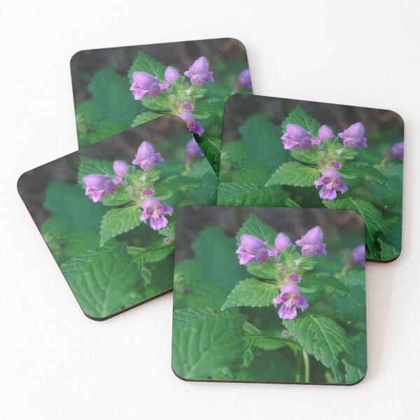 Item preview, Glechoma Hederacea #naturehealing  designed and sold by Meekly-Shop.