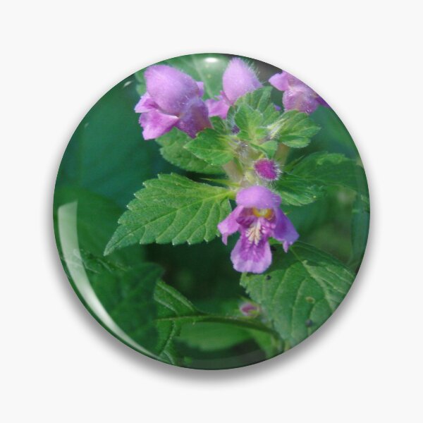 Item preview, Glechoma Hederacea #naturehealing  designed and sold by Meekly-Shop.
