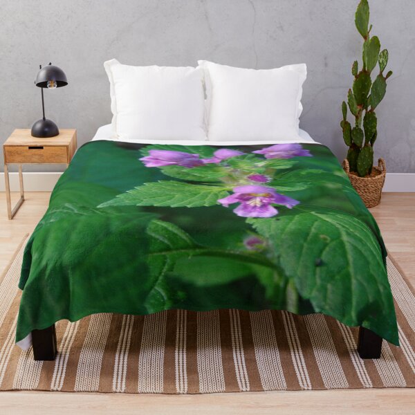 Item preview, Glechoma Hederacea #naturehealing  designed and sold by Meekly-Shop.